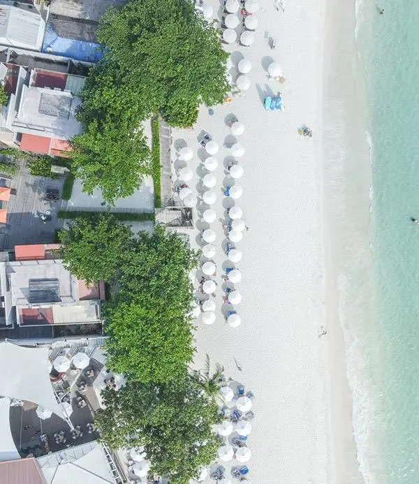 Register Friends of Samed