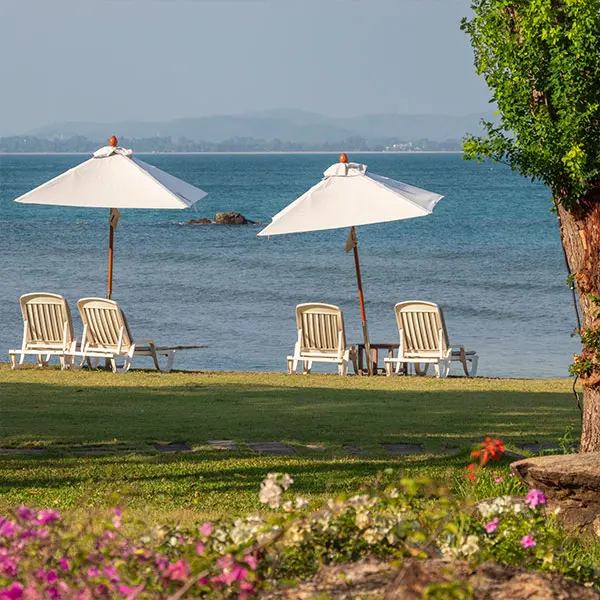 Share Your Experience